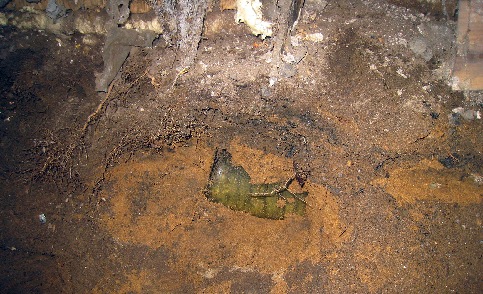 The base of a York Springs quart soda in yellow olive green peeking out from the dirt in the basement.